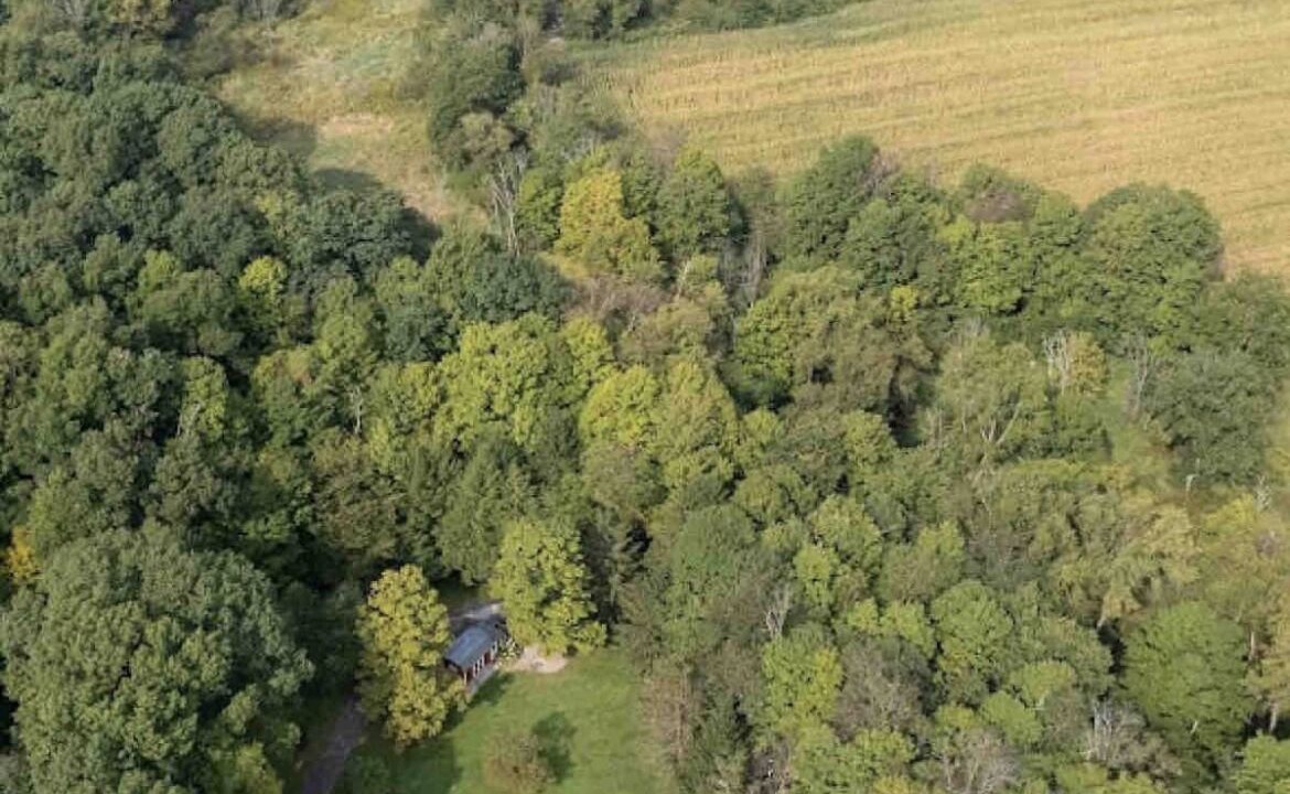 Photo of Outdoor in Ashland