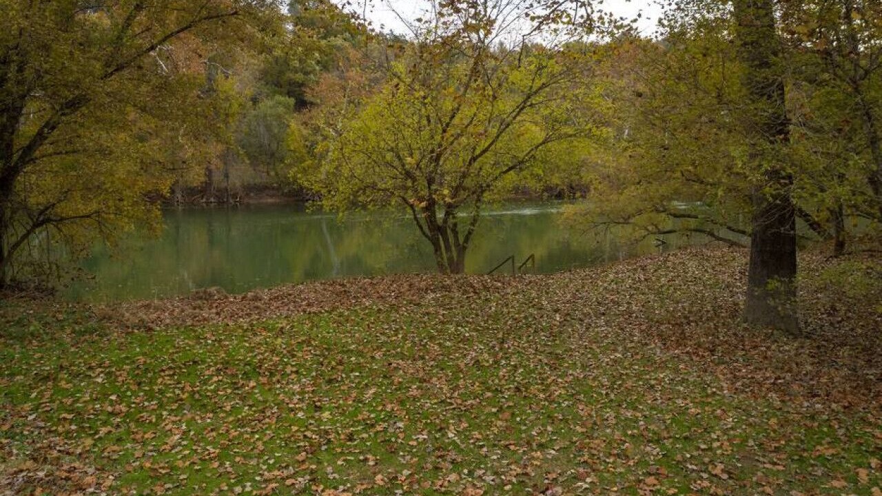 Photo of Others in Luray