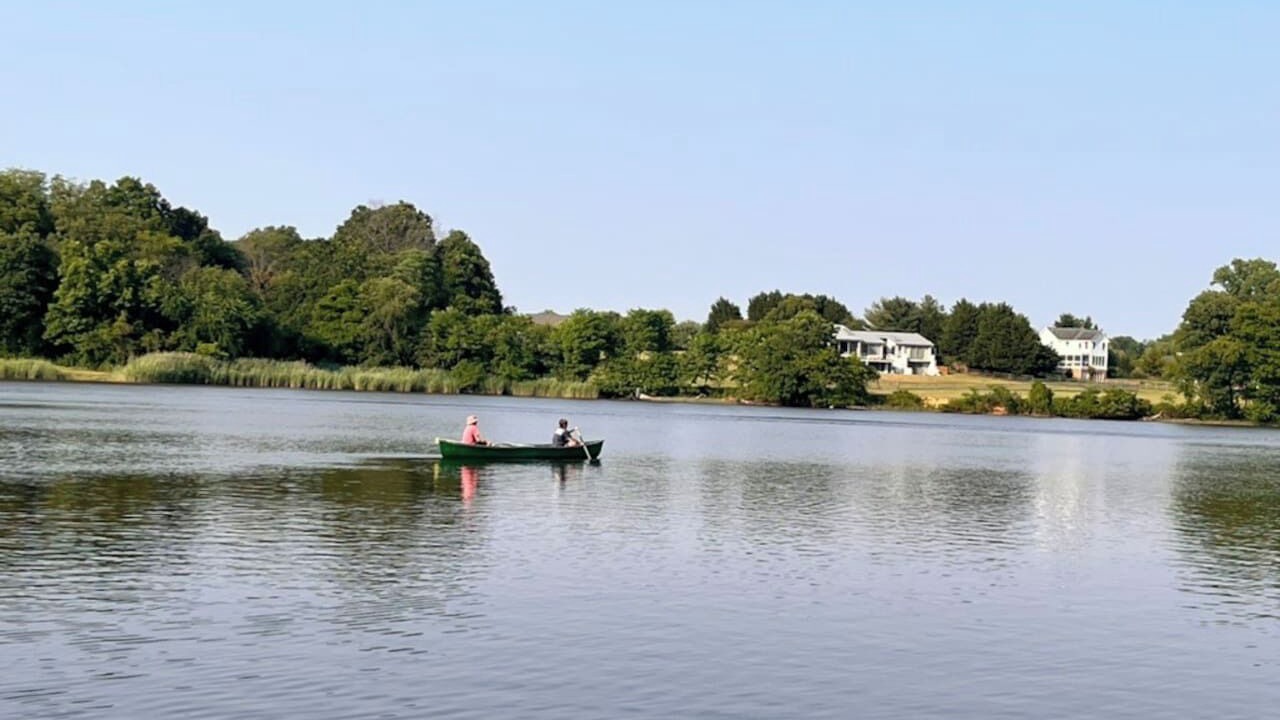 Photo of Others in Chestertown