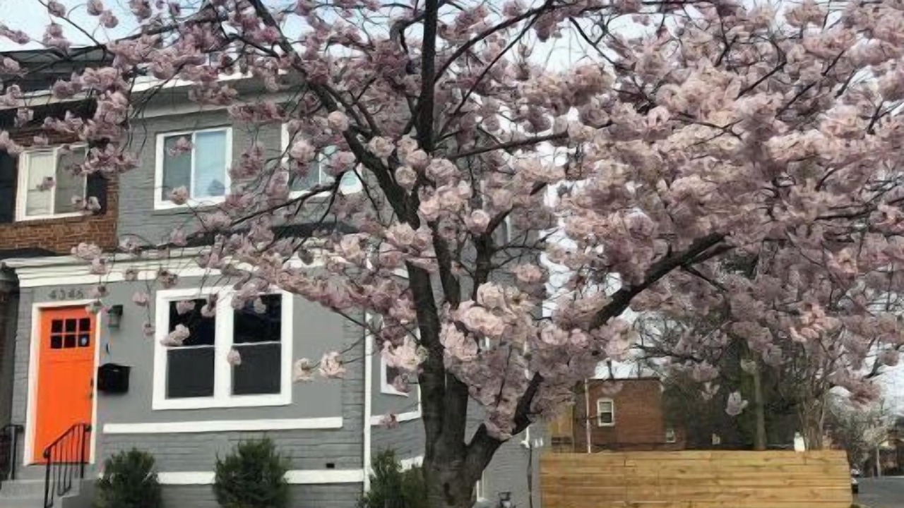 Photo of Outdoor in Southeast
