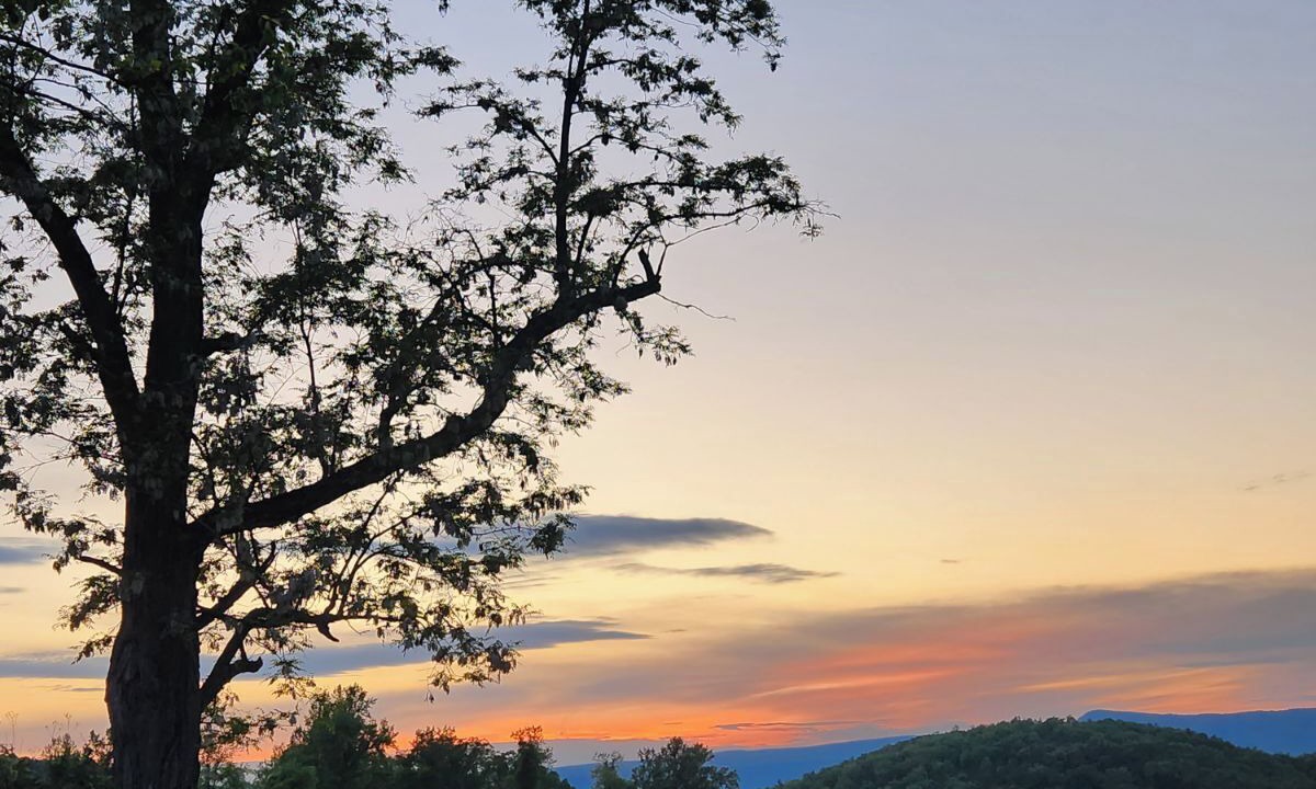 Photo of Others in Luray