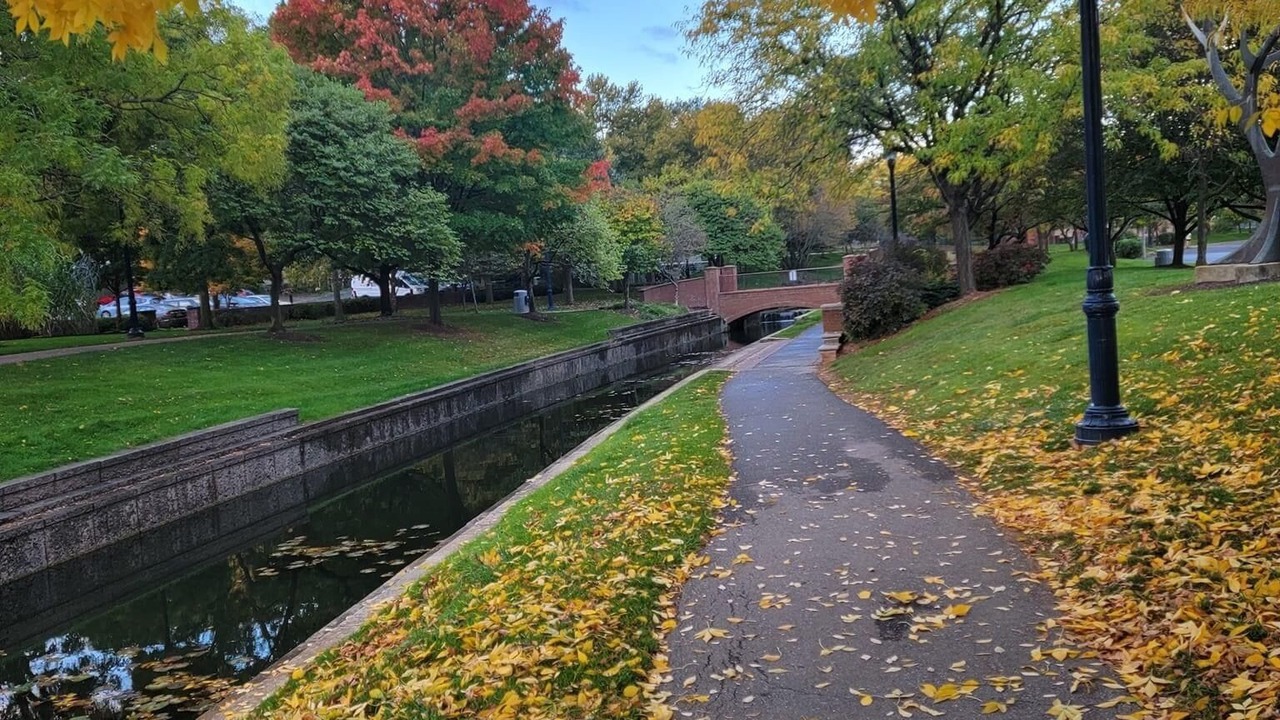 Photo of Outdoor in Downtown