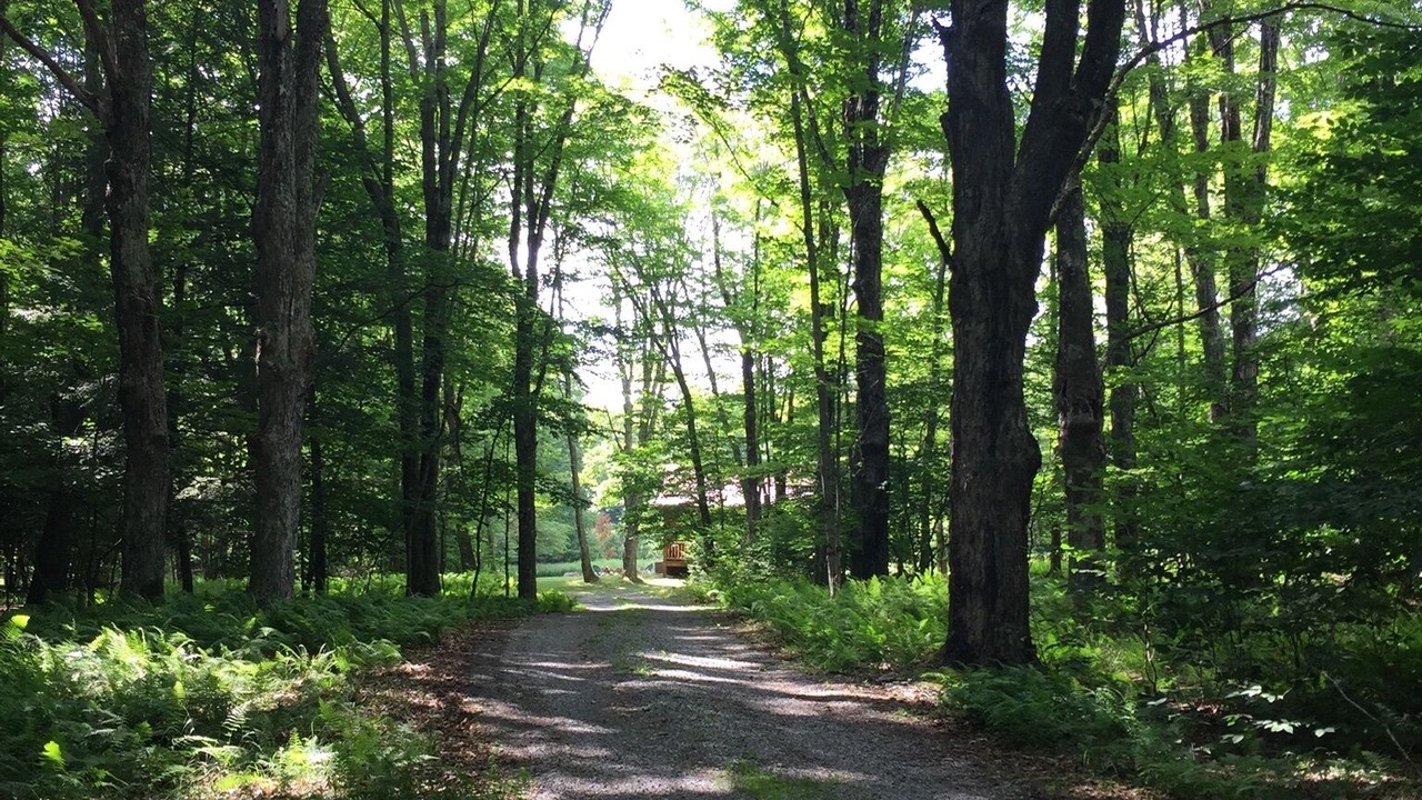 Photo of Outdoor in Edray