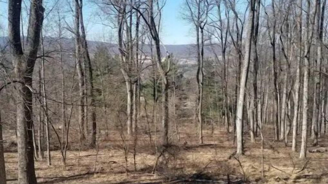 Photo of Outdoor in Purcellville