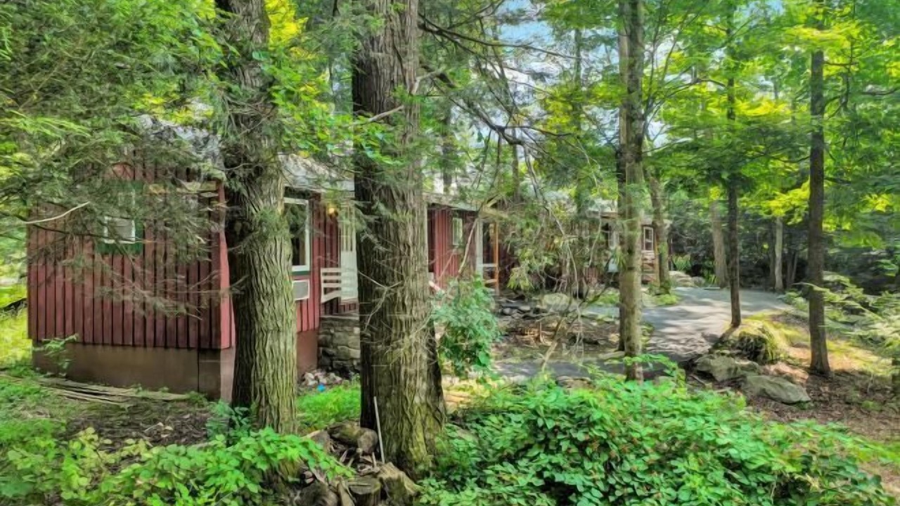 Photo of Outdoor in Canadensis