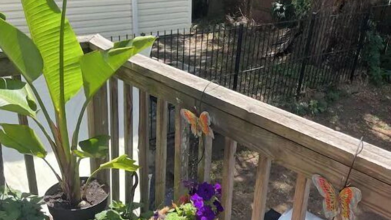 Photo of Outdoor in Elizabeth