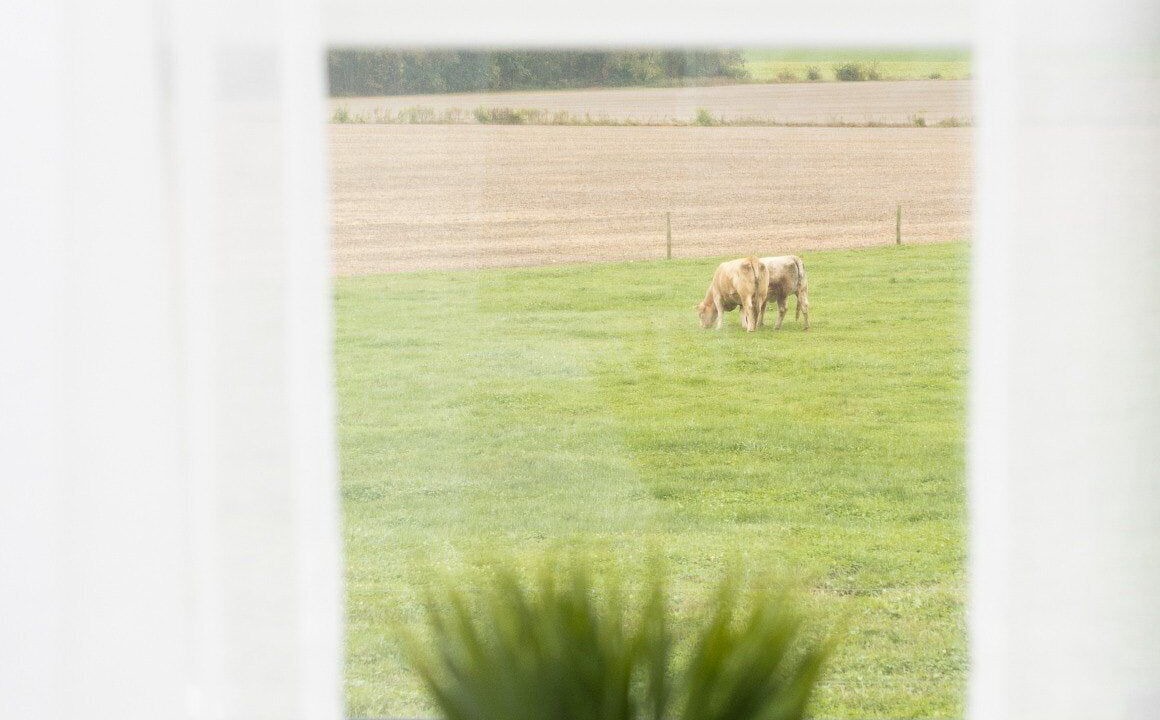 Photo of Others in New Holland
