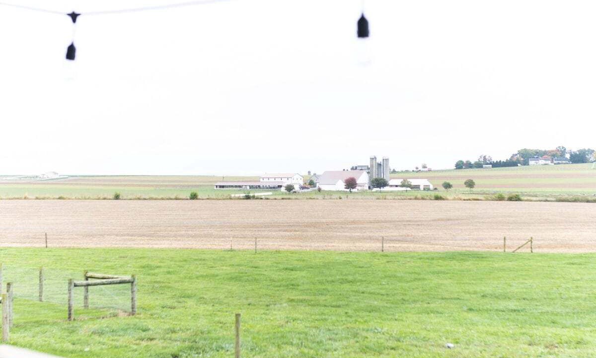 Photo of Others in New Holland