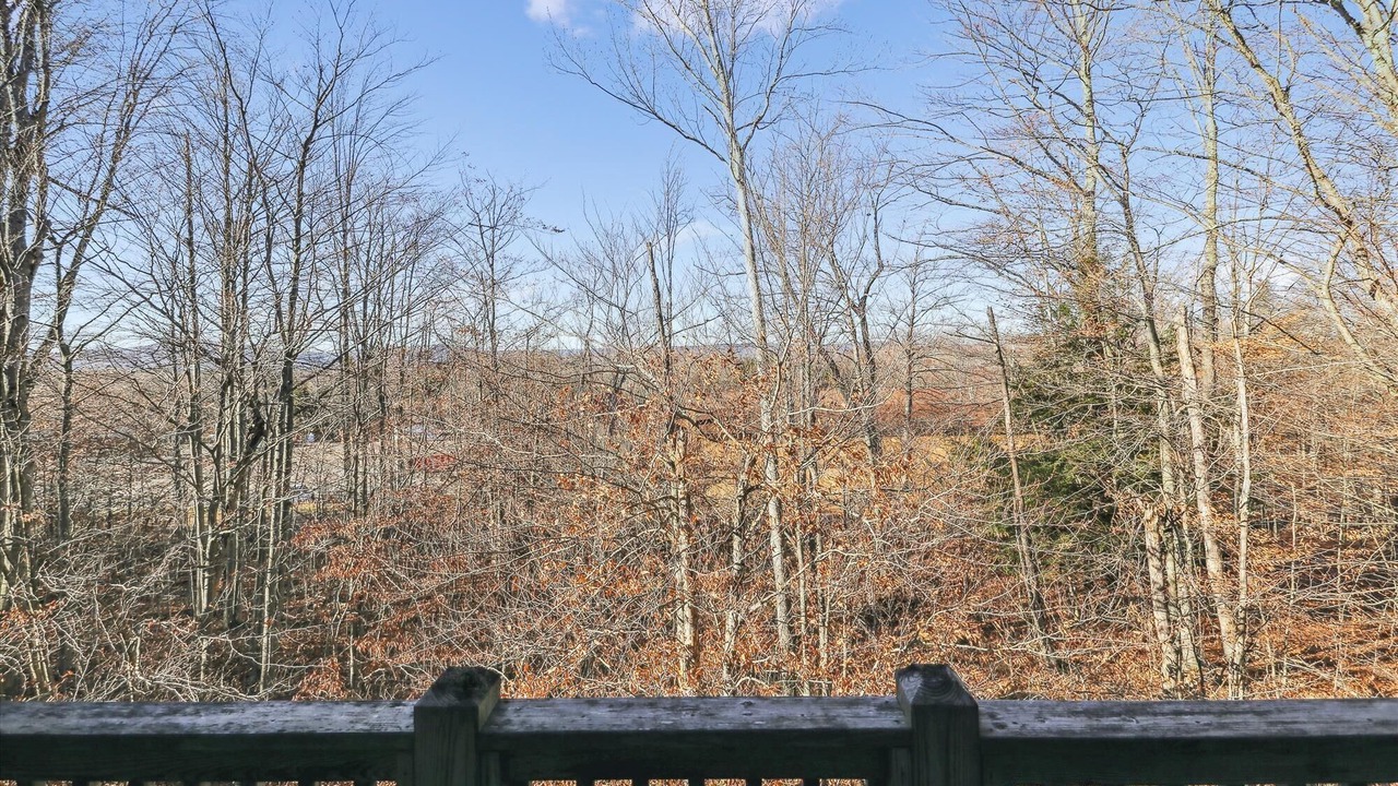 Photo of Others in Canaan Valley