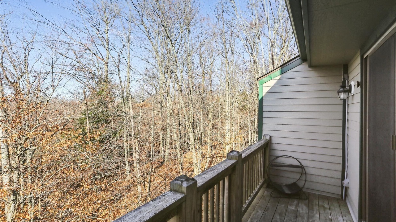 Photo of Outdoor in Canaan Valley