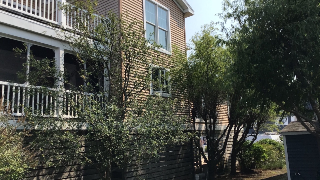 Photo of Outdoor in Fenwick Island