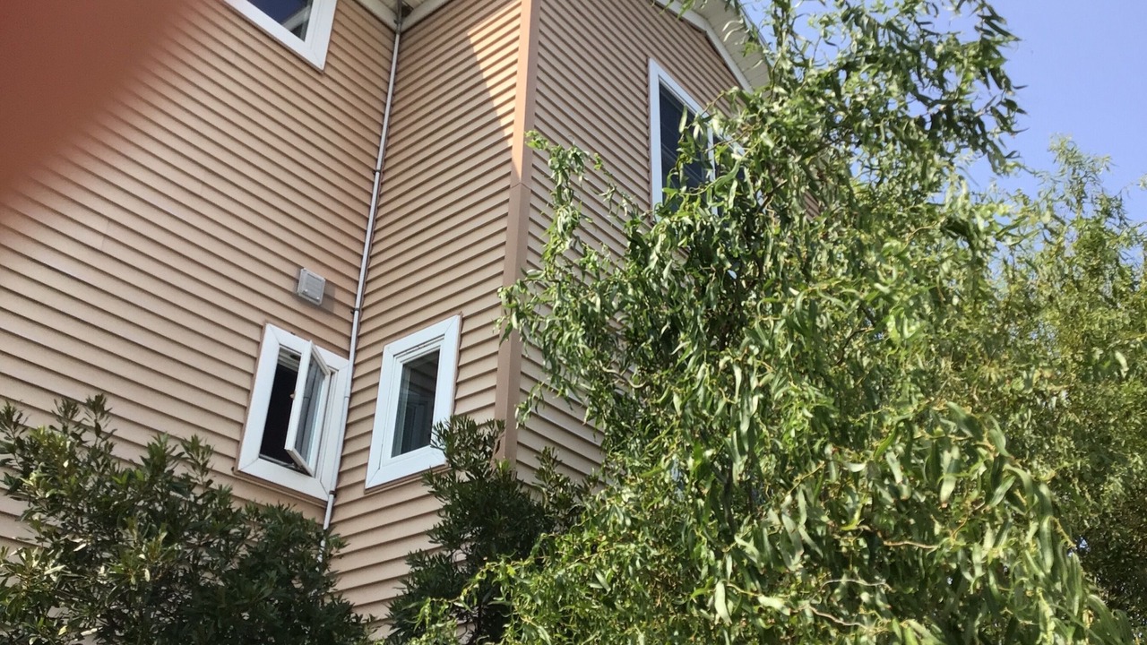 Photo of Outdoor in Fenwick Island