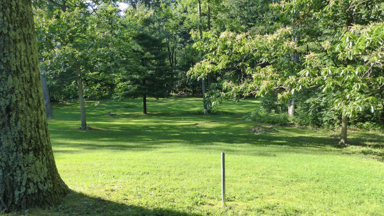 Photo of Others in Weedville