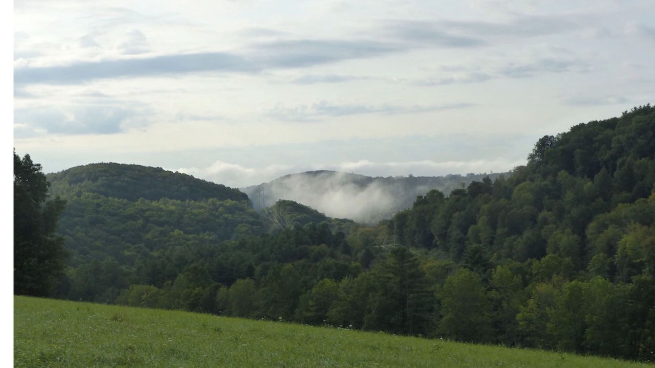 Photo of Outdoor in Weedville