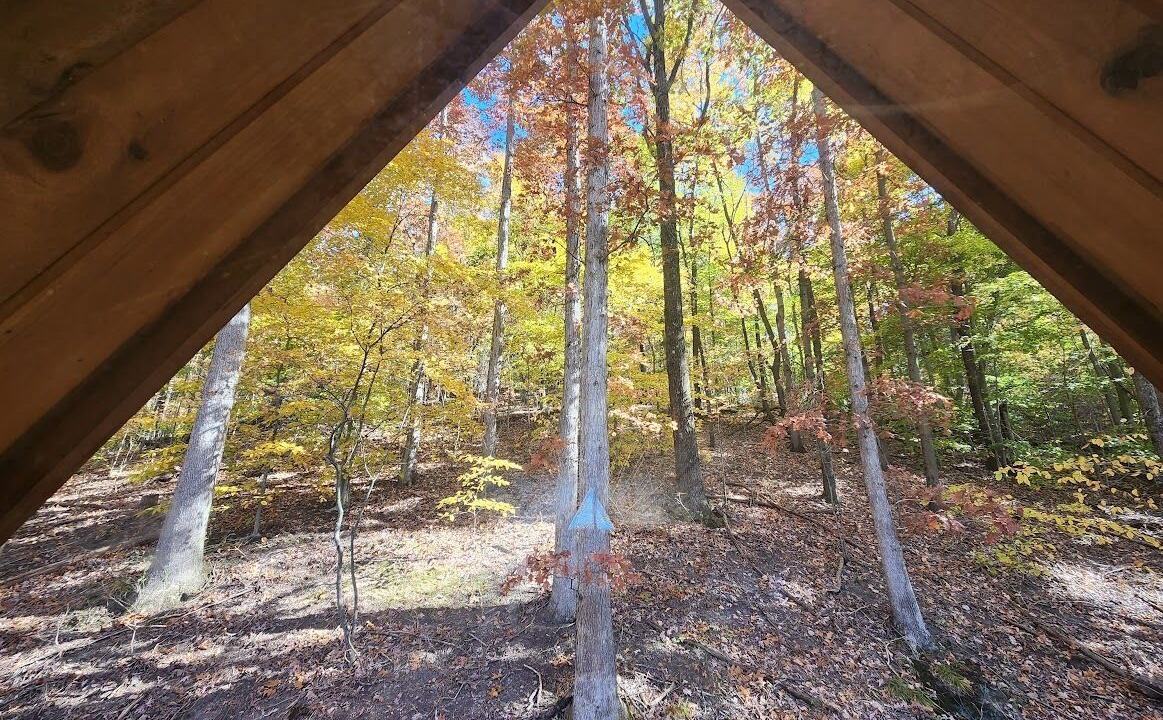 Photo of Others in Scio