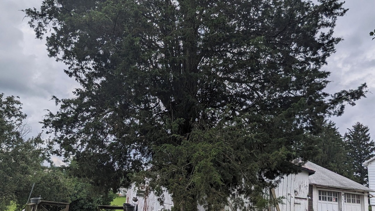 Photo of Outdoor in Etters