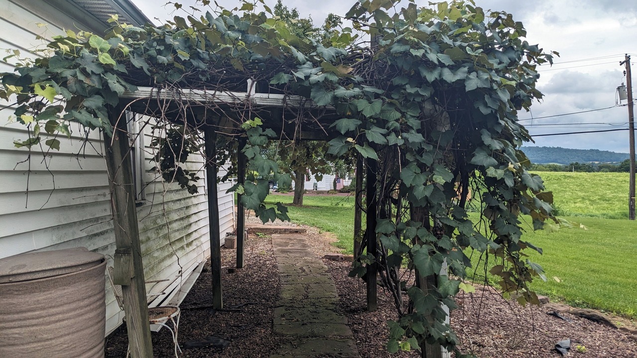 Photo of Outdoor in Etters