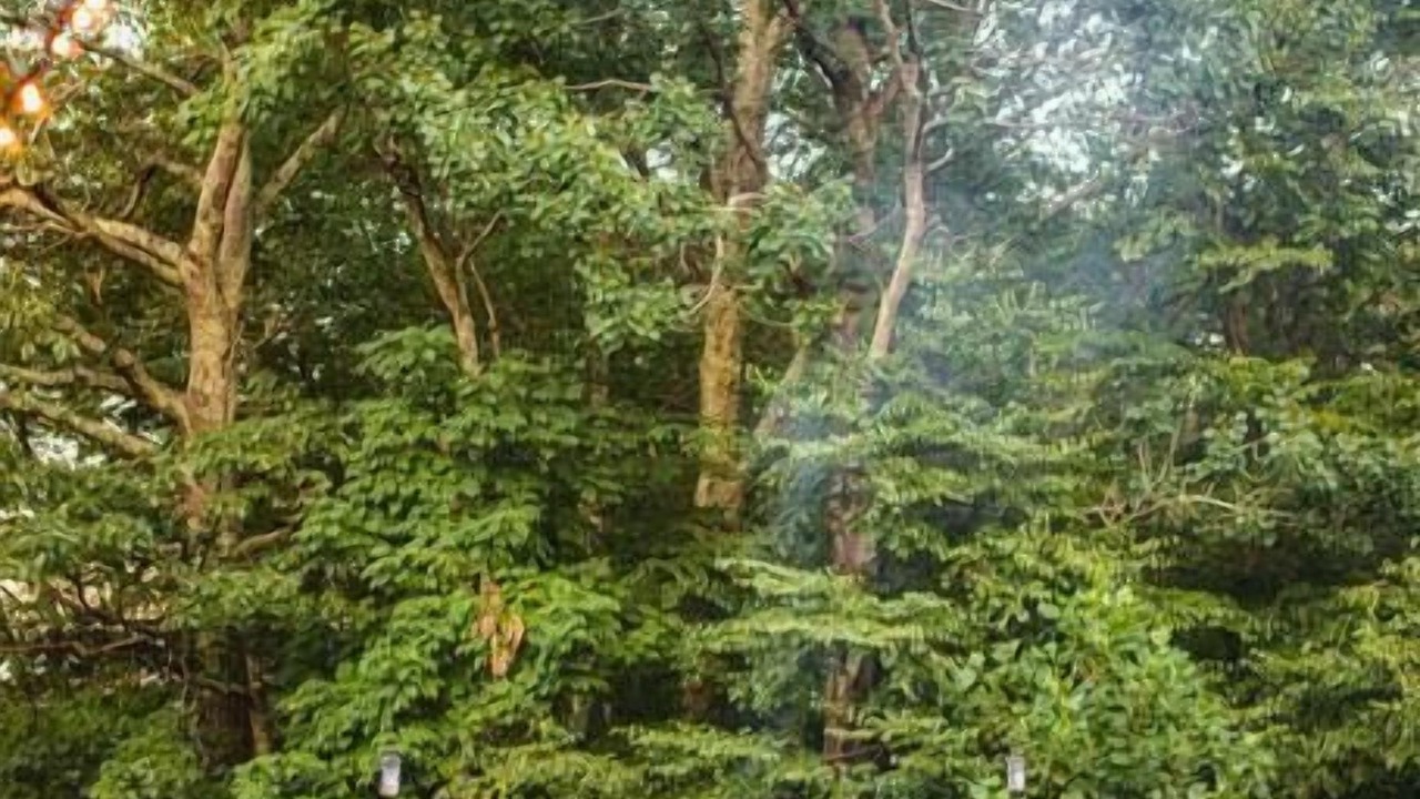 Photo of Others in Kresgeville
