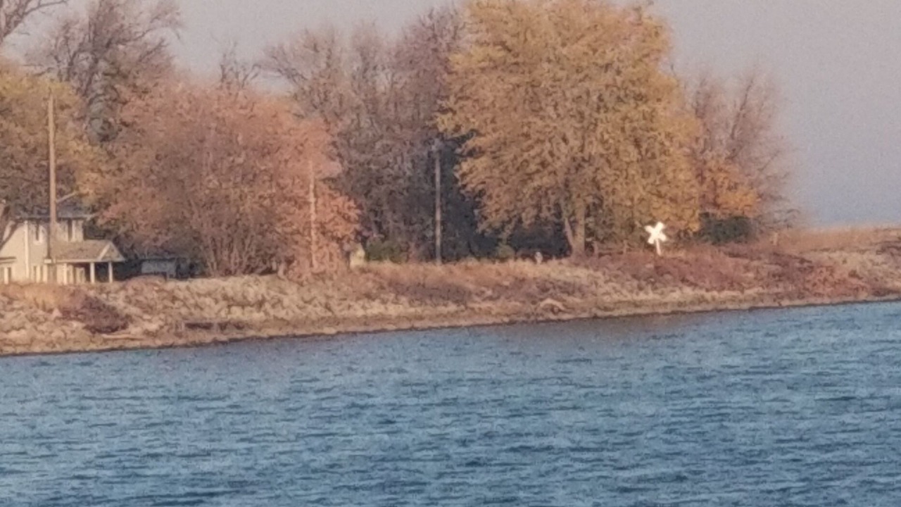 Photo of Others in Toledo