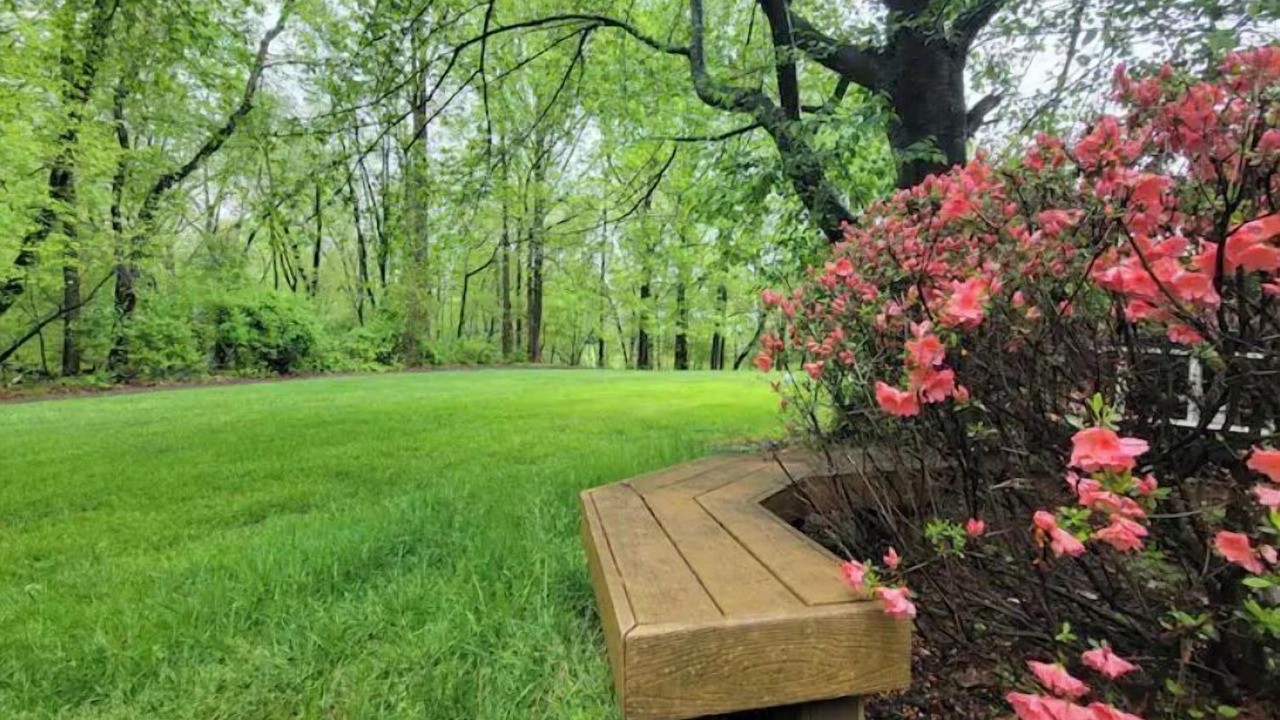 Photo of Outdoor in Montgomery Village