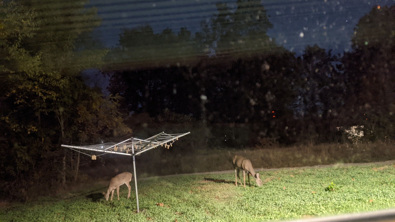 Photo of Outdoor in Bloomingdale
