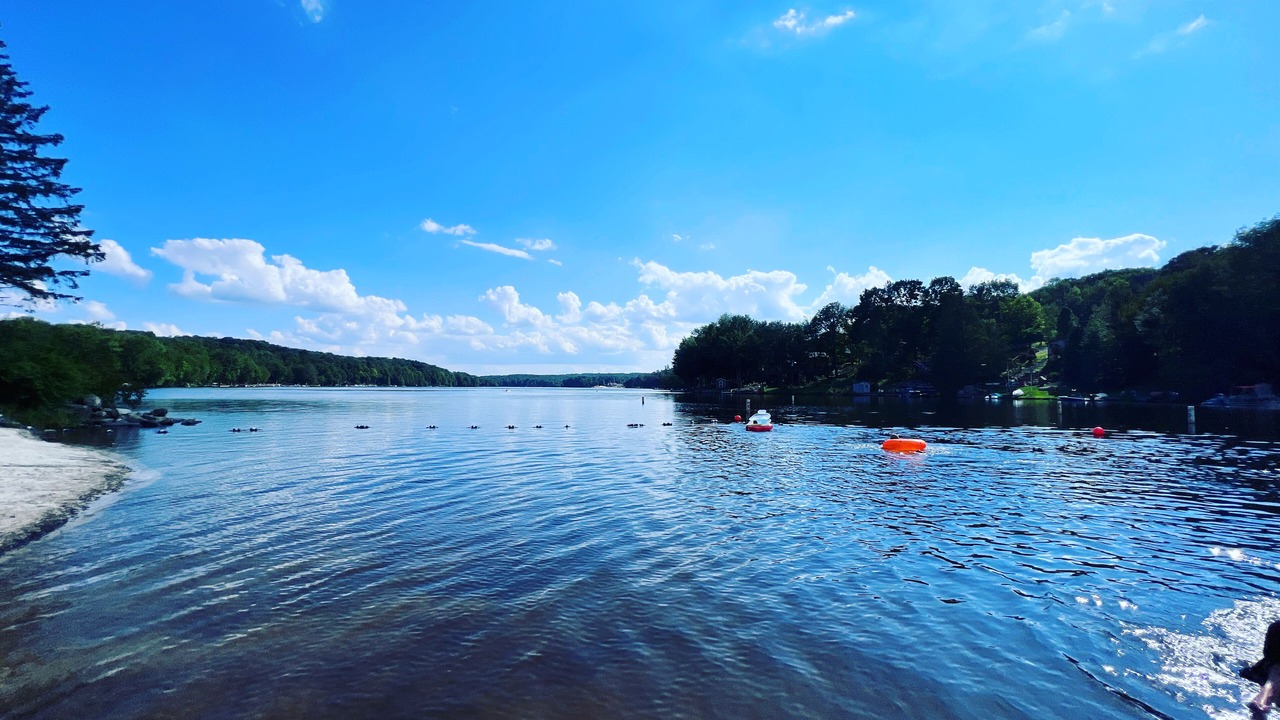 Photo of Others in Lake Ariel
