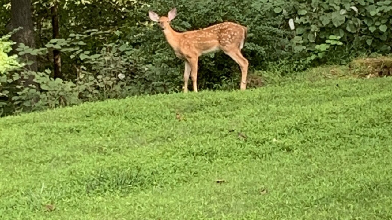 Photo of Others in Town of North Castle