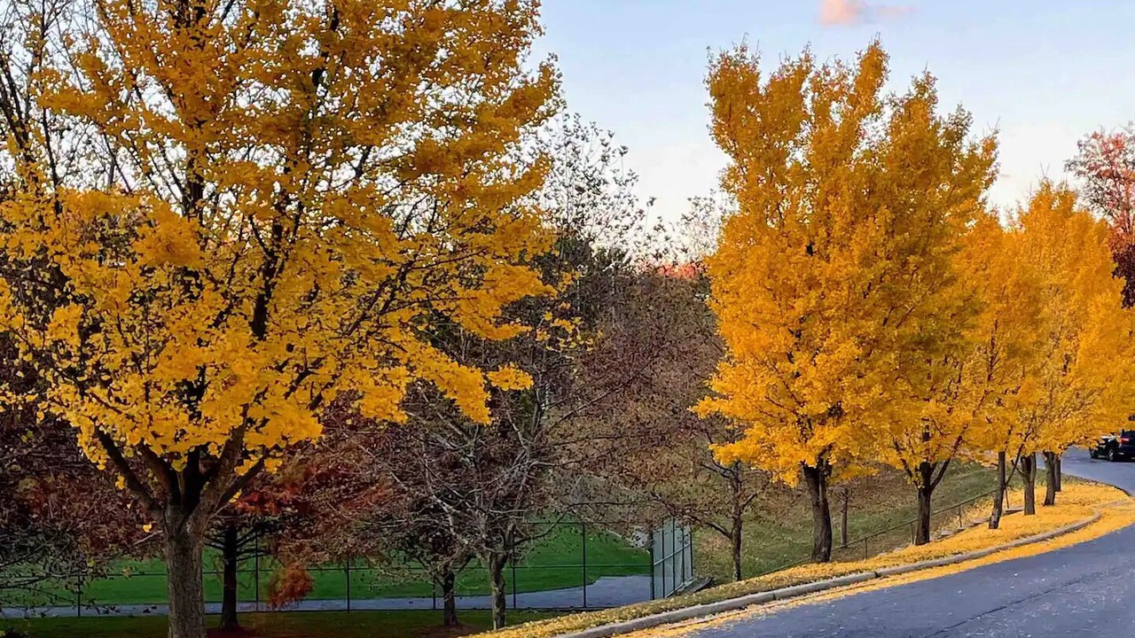 Photo of Others in Wheaton