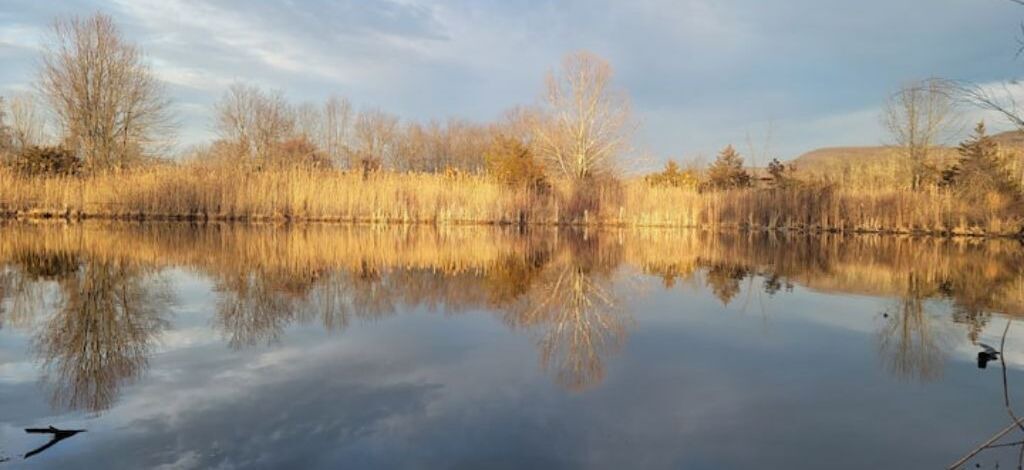 Photo of Outdoor in Vernon