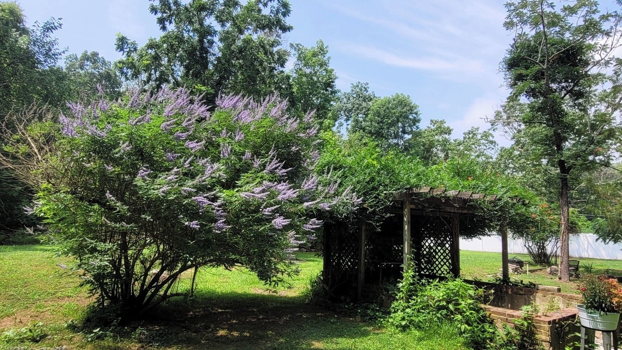 Photo of Outdoor in Egg Harbor Township