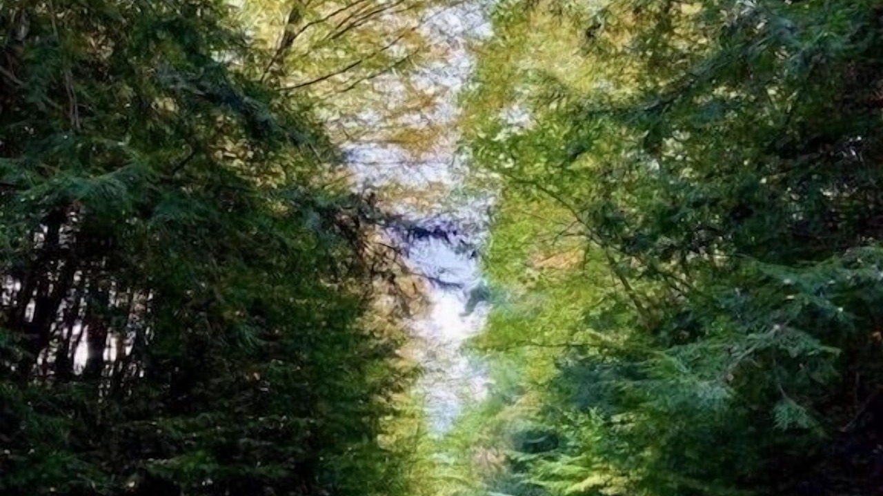 Photo of Outdoor in Marienville