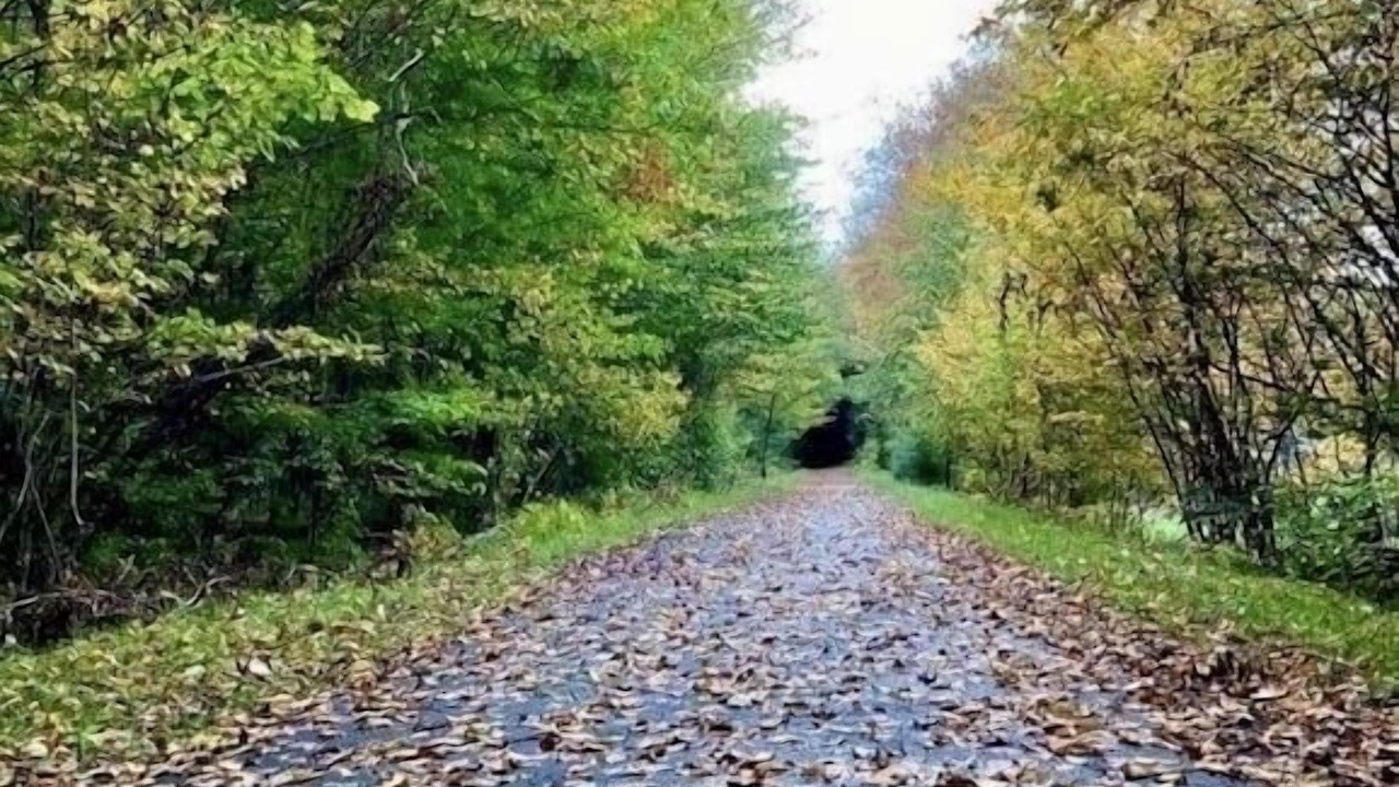 Photo of Outdoor in Marienville