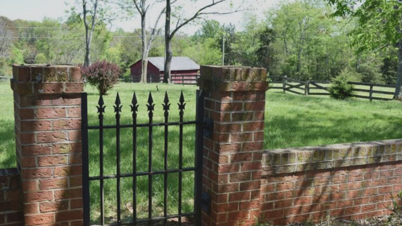 Photo of Outdoor in Clifford