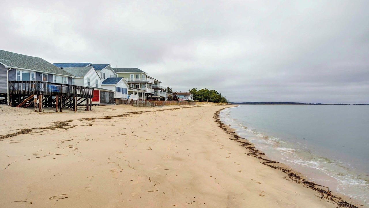 Photo of Others in Bowers Beach