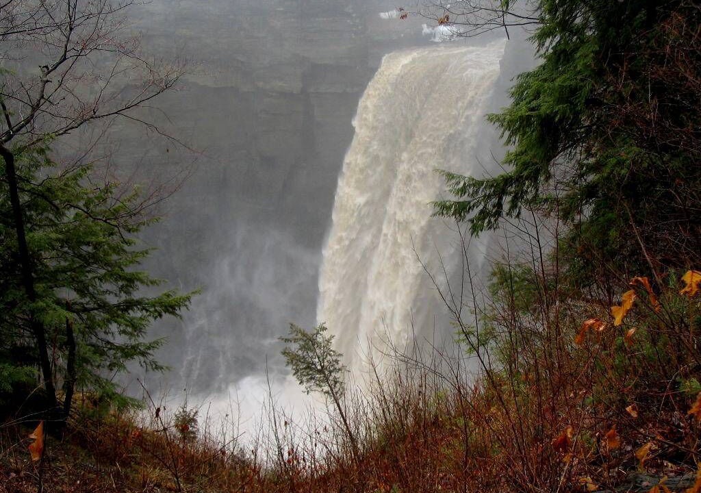 Photo of Others in Ithaca