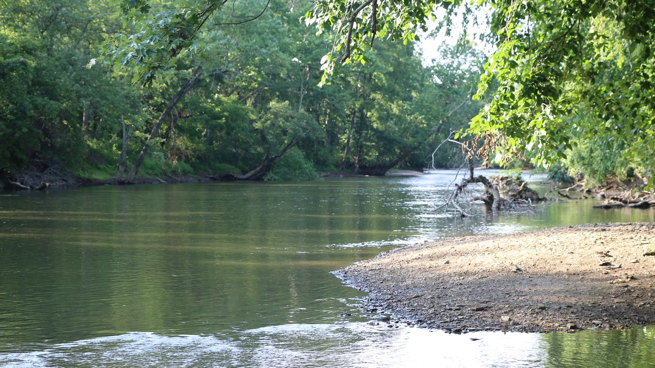 Photo of Others in Loudonville