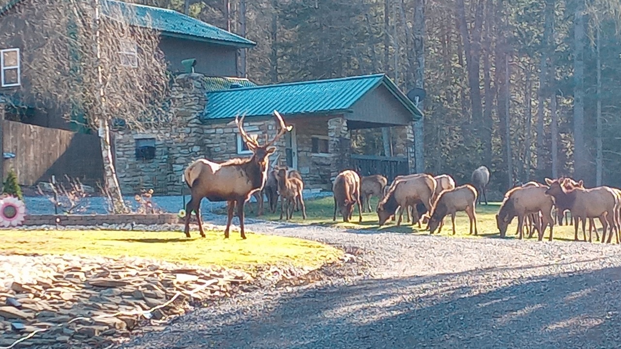 Photo of Others in Benezette