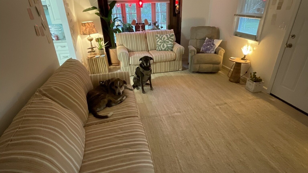 Photo of Livingroom in Green Creek