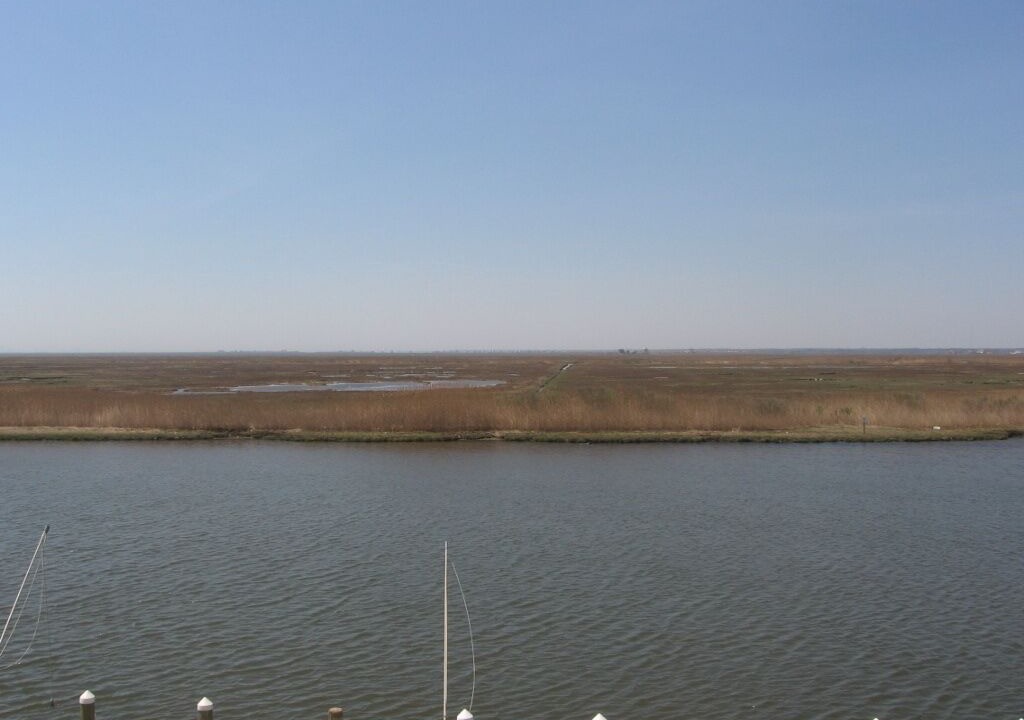 Photo of Others in Beach Haven West