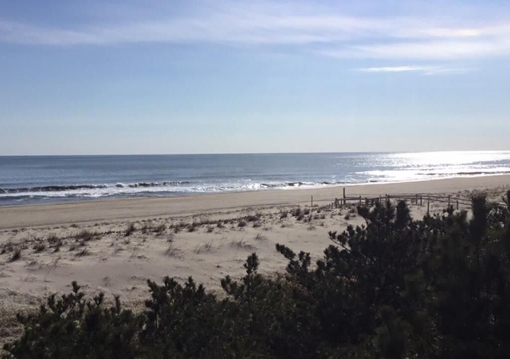 Photo of Others in Beach Haven