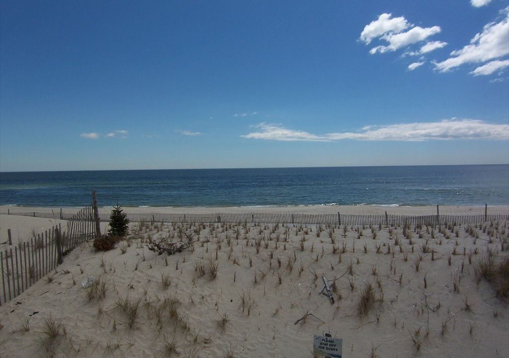 Photo of Others in Beach Haven Gardens