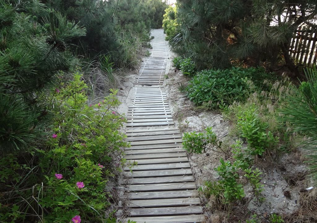 Photo of Outdoor in Loveladies