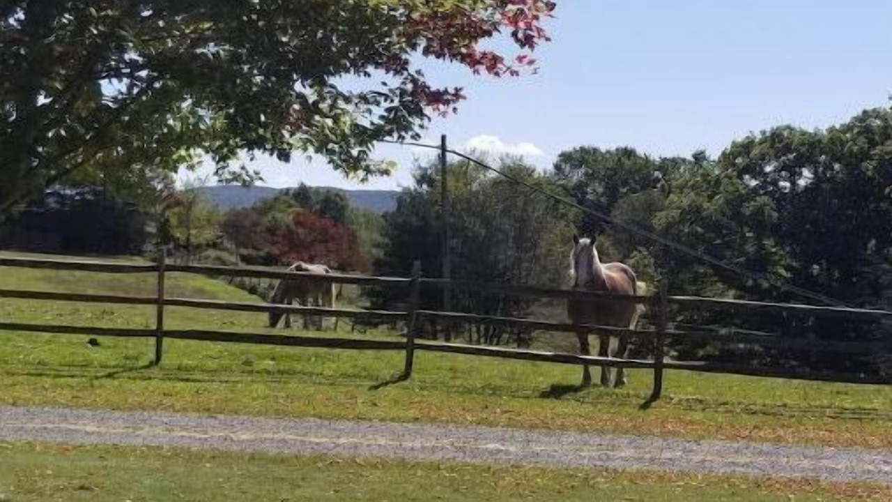 Photo of Others in Marlinton