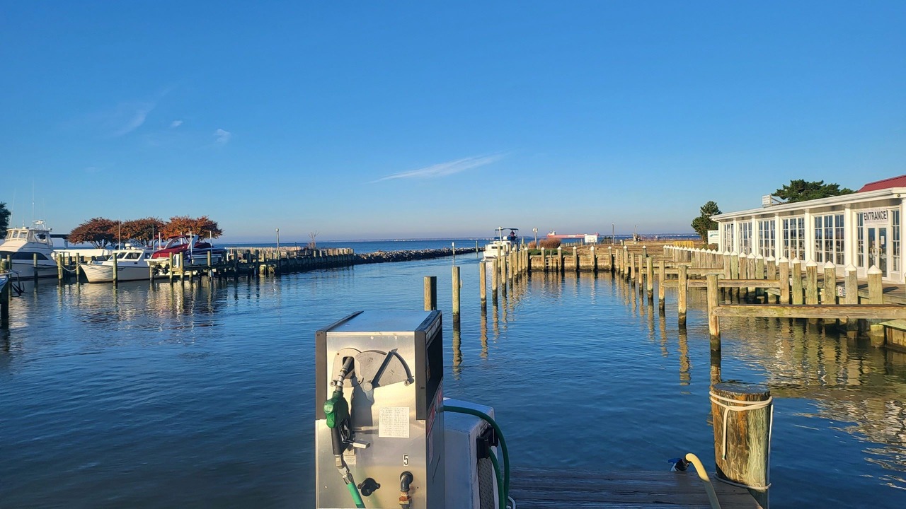Photo of Others in Bowers Beach