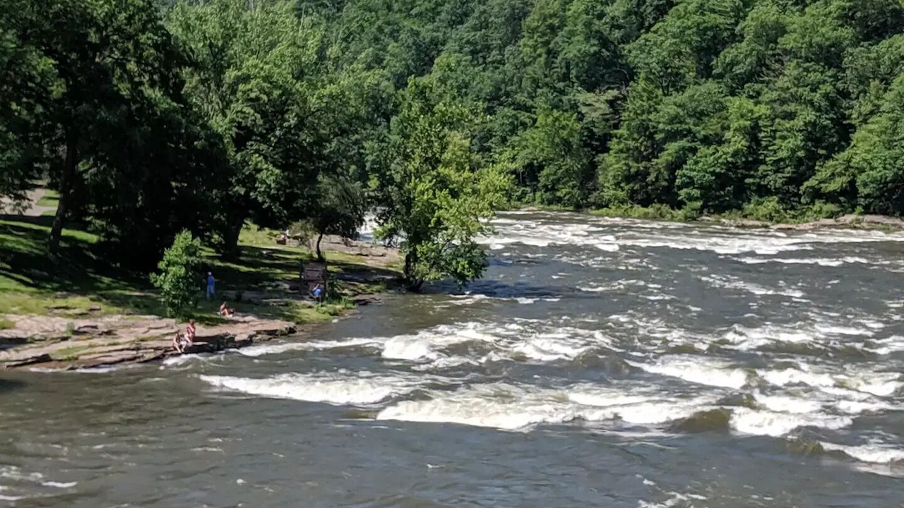 Photo of Others in Confluence