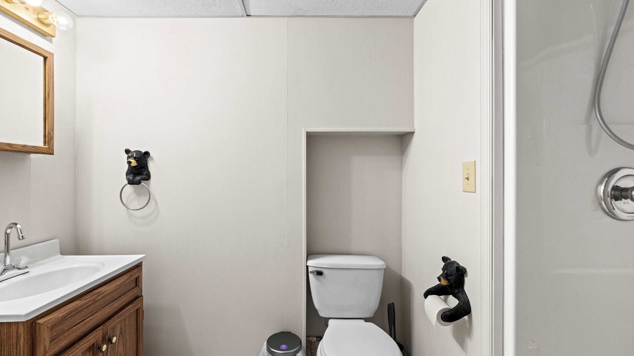 Photo of Bathroom in Great Cacapon