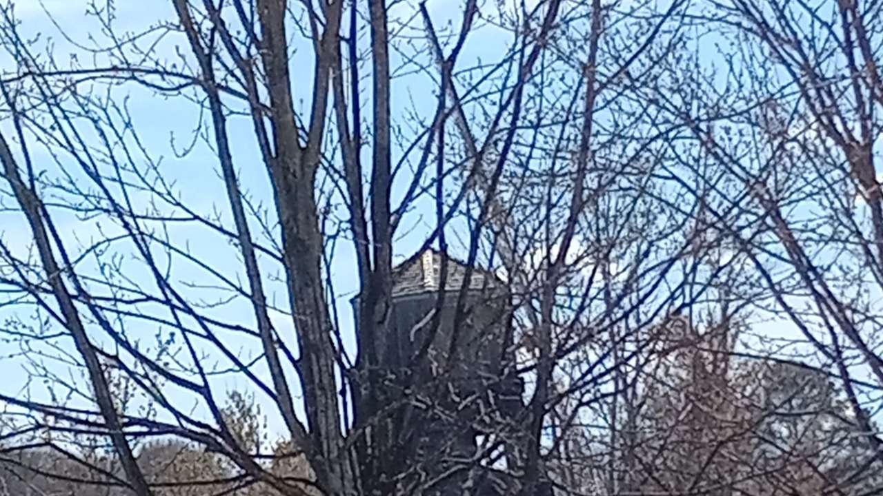 Photo of Others in Crellin
