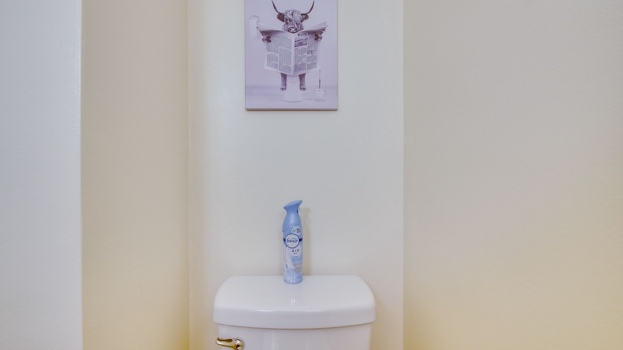 Photo of Bathroom in Appomattox