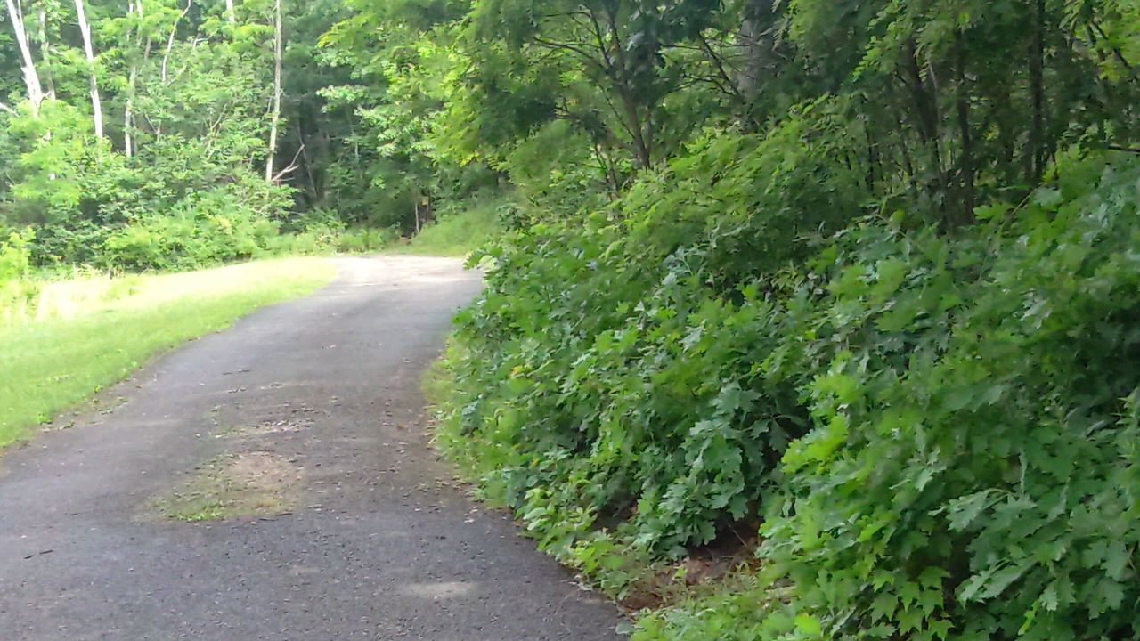 Photo of Others in Farmington