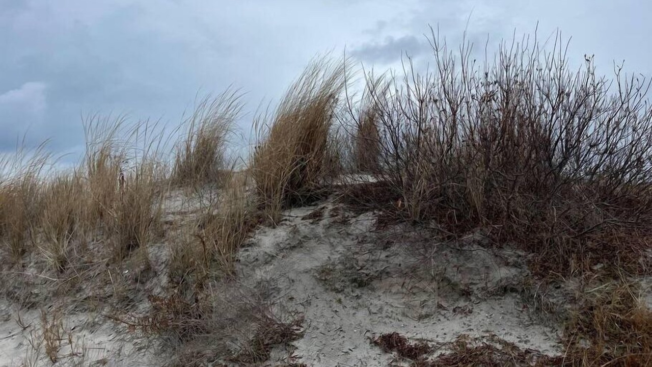 Photo of Others in North Wildwood
